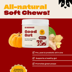 Oh Norman! Good Freaking Gut packaging shown, a tasty treat supporting gut health.