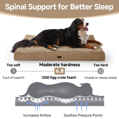 OhGeni 25D egg crate foam orthopedic-support detail emphasizes pressure-point relief