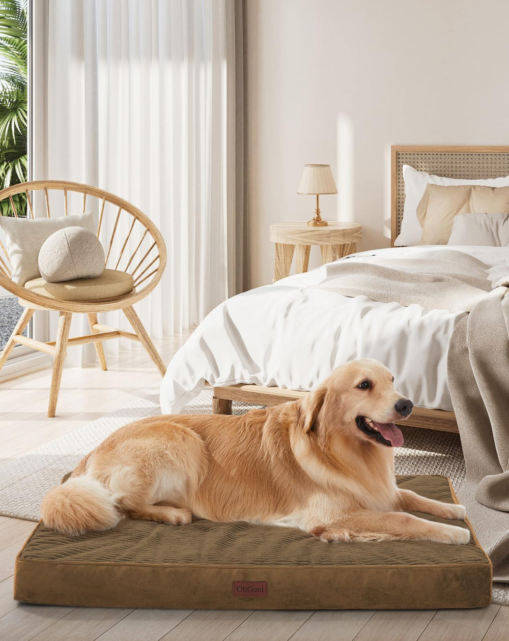 OhGeni orthopedic dog bed outer cover shown; durability and easy cleaning.