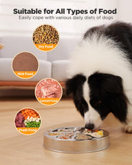 Oiwliur 5-cup capacity bowl accommodates various meals for dogs.