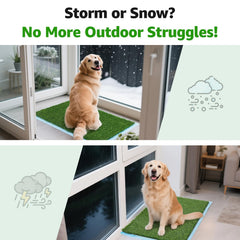 Oiyeefo artificial grass pad with drainage holes aids odor control and cleanup.