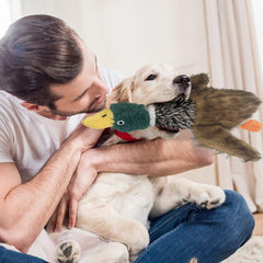 Okegztoa plush durable dog toy blends soft touch with resilience.