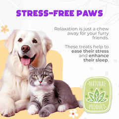 OKKÖBI hemp seed oil ingredient highlight on calming chews.