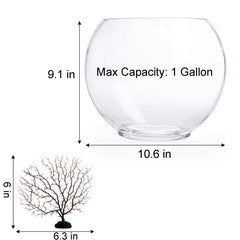 Okllen mini glass bowl flat-mouth design saves desk space while housing a betta