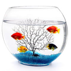 Okllen mini glass bowl front view shows crystal clarity for vibrant betta colors