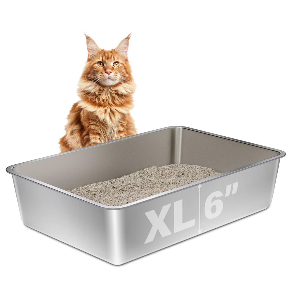 Olacat Stainless Steel Litter Box XL front view showing spacious interior for big cats