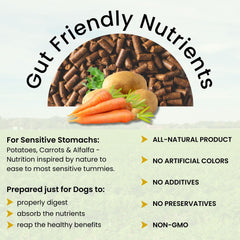 Olewo Rootsies dog food topper aids gut health with prebiotic fiber.