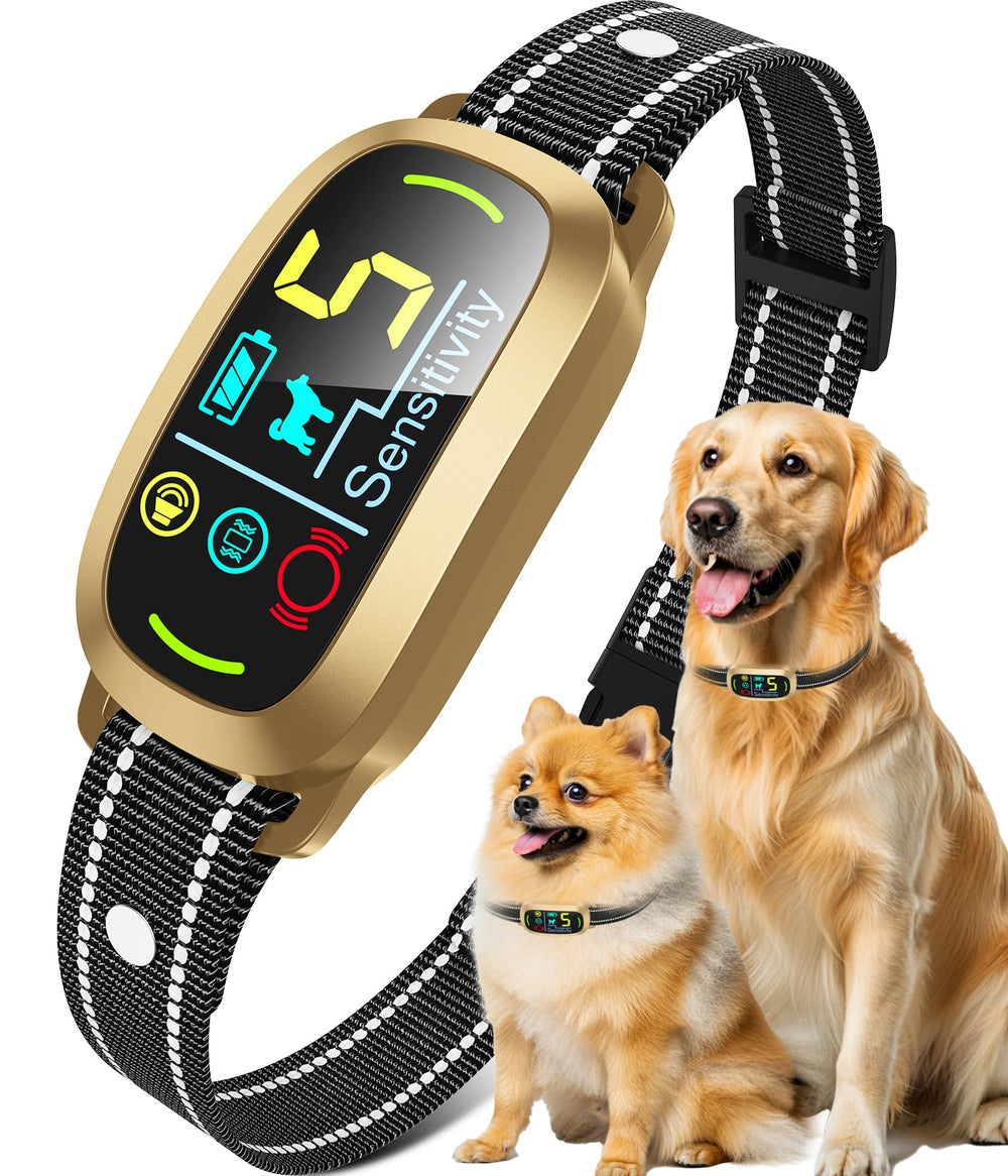 Oliry bark collar on dog's neck shows adjustable fit for all sizes