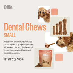 Ollie Dental Chews small-dog size display for 16-25 lb pups.