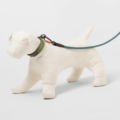 OllyDog collar O-ring detail highlights sturdy leash attachment points.