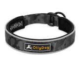 OllyDog Martingale collar side view shows durable construction for active dogs at dusk
