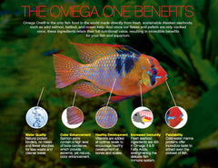 Omega One Super Color Floating Cichlid Pellets deliver natural pigments for vibrant coloration.