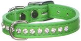 OmniPet Signature Leather Crystal Dog Collar in emerald solid grain leather for stylish daily wear