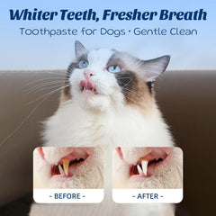 OMYGYM coconut-chicken flavor label visible, inviting pets to brushing routine.