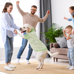 On The Roll green turtleneck dog sweater size chart reference for proper fit