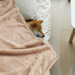 Onarway 4-pack dog blankets 40x28 inches; practical, cozy option for multiple rooms
