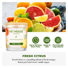 One Fur All pet house candle 2-pack wick close-up highlighting clean burn and steady fragrance