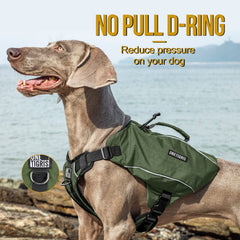 ONETIGRIS harness closeup shows no-pull stability and fit