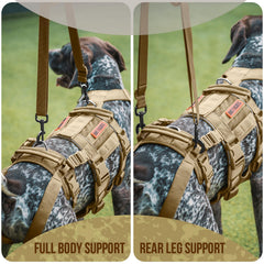 OneTigris dog lift harness rear leg support enables steadier movement for seniors