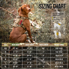 OneTigris dog harness front leash attachment aids training and daily walks.