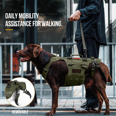 OneTigris lift harness adjustable straps ensure secure fit and comfortable lifting.