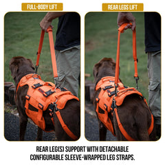 OneTigris Dog Lift Harness back view showing sturdy rear support and strap layout