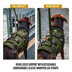 OneTigris dog lift harness side view shows ergonomic design and weight distribution