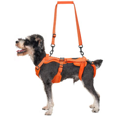 OneTigris dog lift harness XXS size showing neck and chest fit for small dogs with secure support