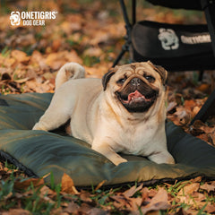 ONETIGRIS insulated cushion with padding provides warmth on cold floors.