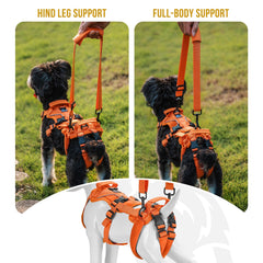 OneTigris Lift Harness XS side view demonstrates mobility support during gentle aid