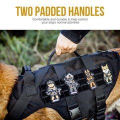 OneTigris No Pull Harness side MOLLE panels for carry pouches.