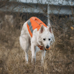 OneTigris Reflective patches closeup emphasizes low-light safety
