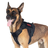 OneTigris tactical dog harness with handle in black provides secure control during walks