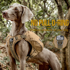 ONETIGRS Y-shaped harness closeup shows even-weight distribution on the dog's torso.