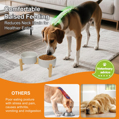 OniAnt premium high fired ceramic bowl is durable and easy to clean for daily meals