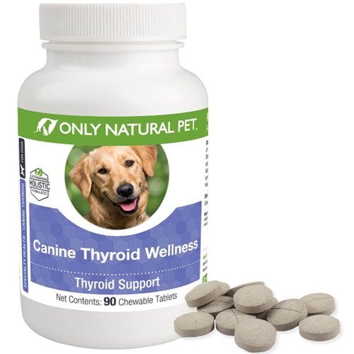 Only Natural Pet canine thyroid wellness pack-front, convenient daily supplement for energy support