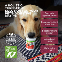 Only Natural Pet Complete Gut Health Complex powder sprinkled on food supports gut microflora