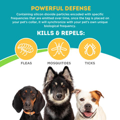 Only Natural Pet EasyDefense Tag dogs-cats-all-ages tag on pet collar, suggesting universal compatibility for puppies and adults