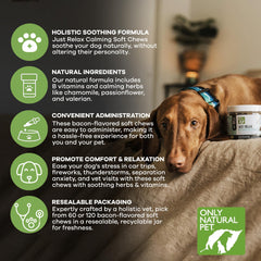 Only Natural Pet Just Relax dog lounging after chewing for calm demeanor.