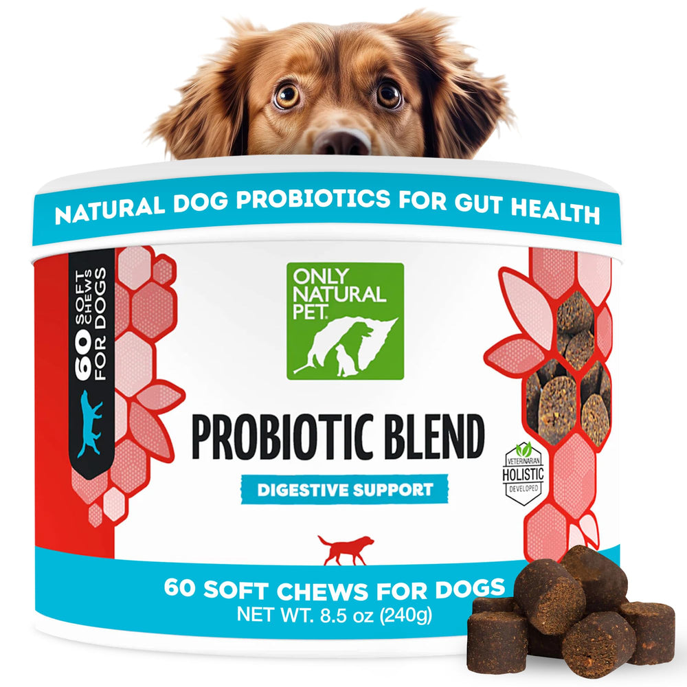 Only Natural Pet probiotic soft chews bottle promotes digestive support for dogs and cats.