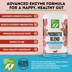 Only Natural Pet probiotic soft chews serving bowl demonstrates multi-strain gut support.