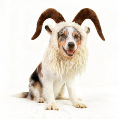 Onmygogo pet wig moose mane provides a lightweight, soft look for events.