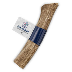 Onward Hound elk antler dog chew 8-inch XL for powerful chewers