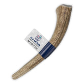 Onward Hound elk antlers 6 inch chew for medium dogs