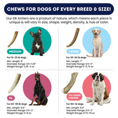 Onward Hound large dog chew 7inch demonstrates sturdy bite for 30–65 lb breeds.