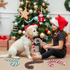 Onwoli Christmas dog rope toy closeup: durable cotton knots ideal for teething and training.
