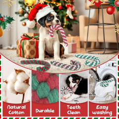 Onwoli Christmas dog rope toy teething uses: dental-friendly chew during lively play.
