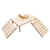 Oooct bearded dragon basking platform base for warm, secure sunbathing and hideaway.