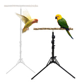 Oooct bird perch stand showcasing adjustable height for indoor and outdoor use.
