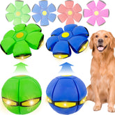 OOXYG Magic Bouncing Ball dog disc play mode promotes active exercise.